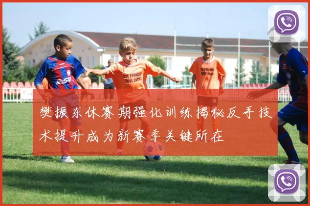 樊振东休赛期强化训练揭秘反手技术提升成为新赛季关键所在