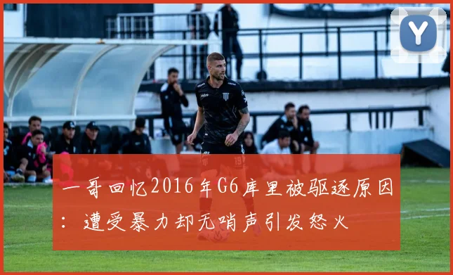 一哥回忆2016年G6库里被驱逐原因：遭受暴力却无哨声引发怒火