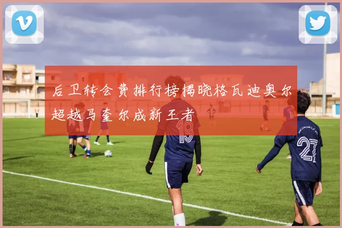 后卫转会费排行榜揭晓格瓦迪奥尔超越马奎尔成新王者