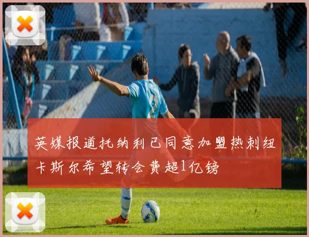 英媒报道托纳利已同意加盟热刺纽卡斯尔希望转会费超1亿镑