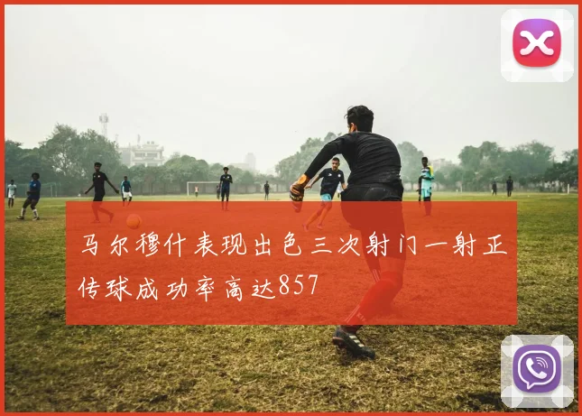 马尔穆什表现出色三次射门一射正传球成功率高达857